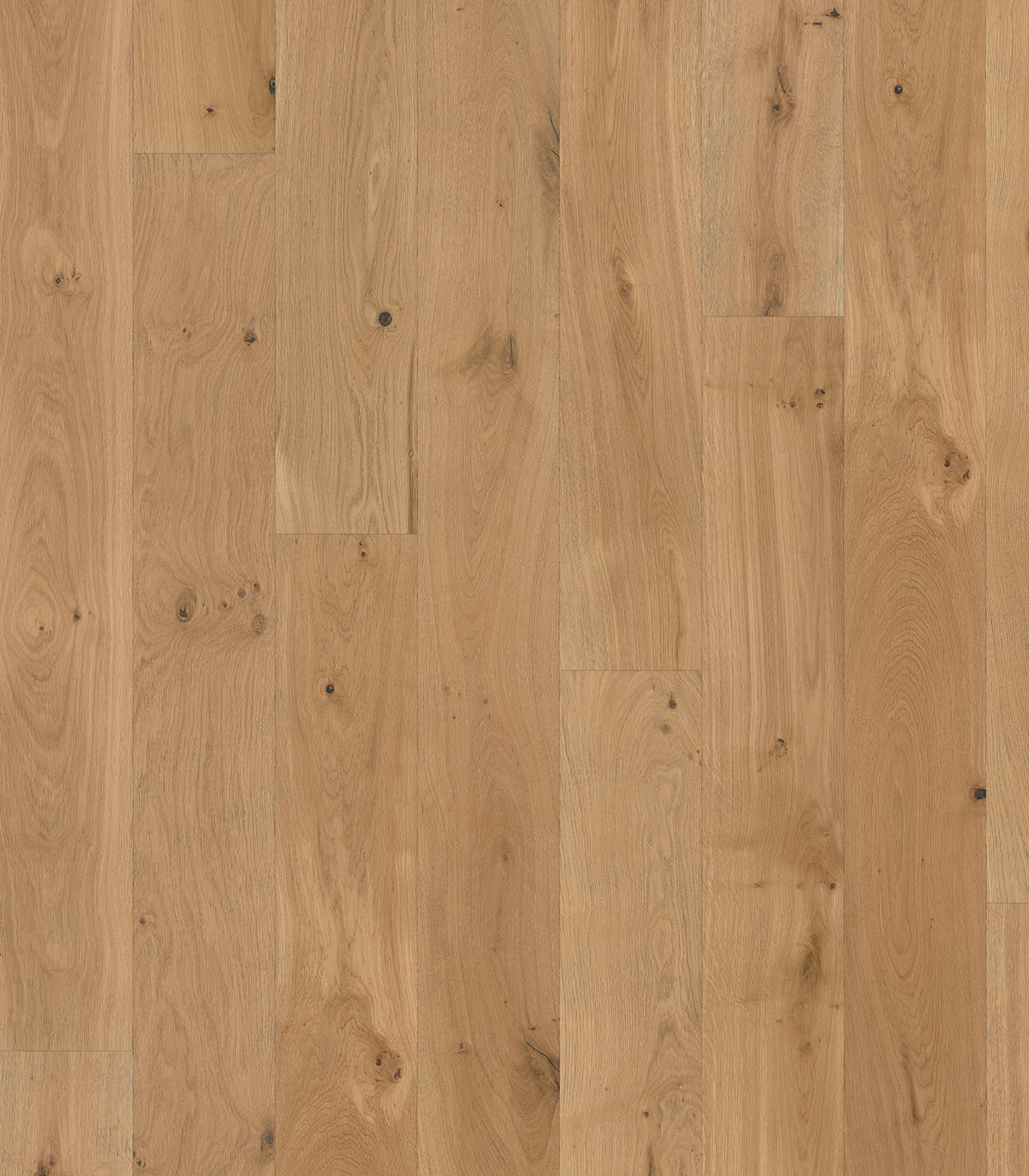 Annapurna blonde wide plank hardwood — flat view