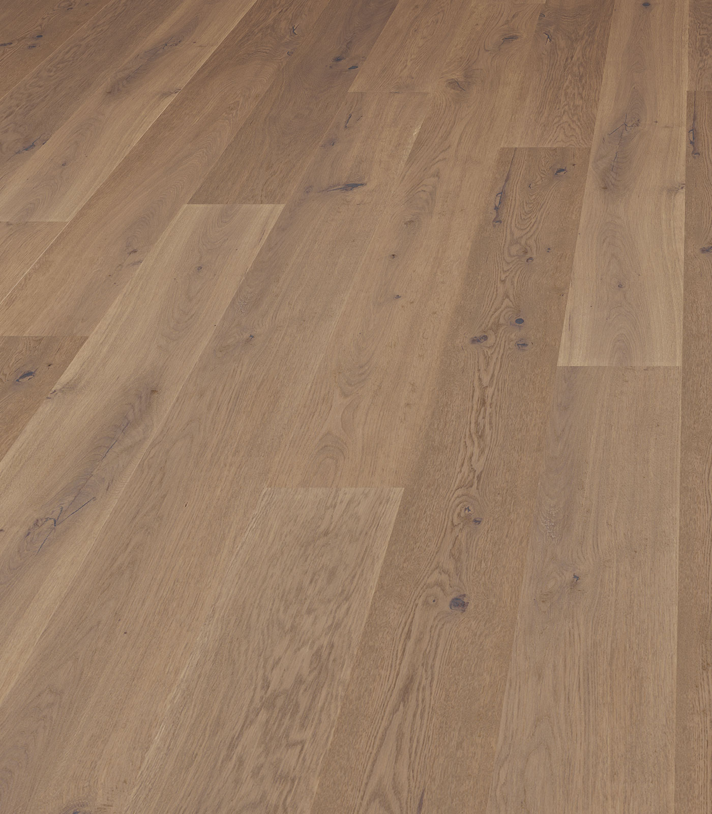 Apennines light brown wide plank hardwood — angle view