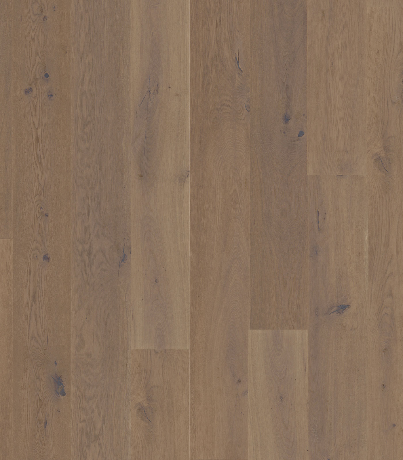 Apennines light brown wide plank hardwood — flat view