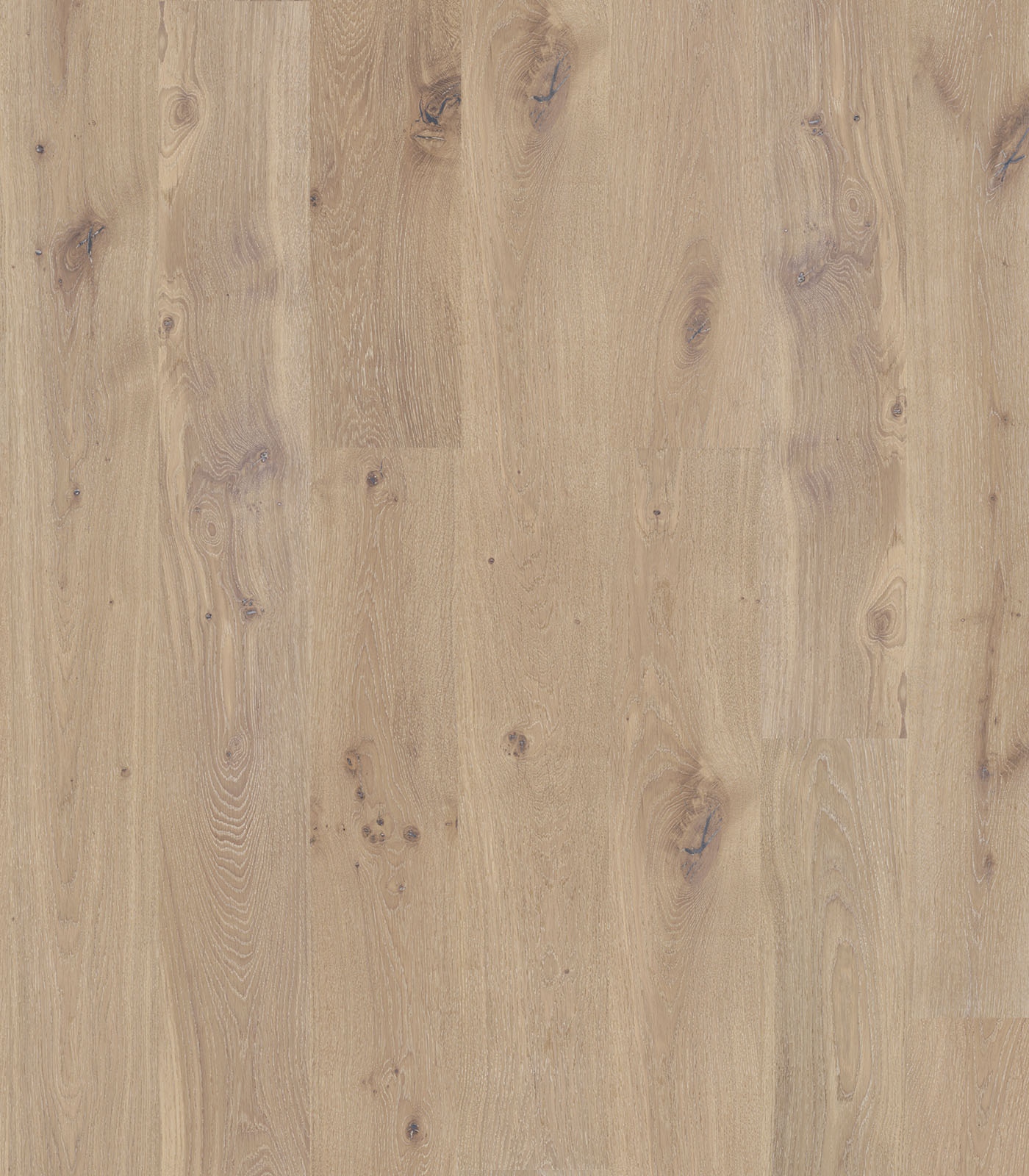 Rocky Mountains white wide plank hardwood — flat view