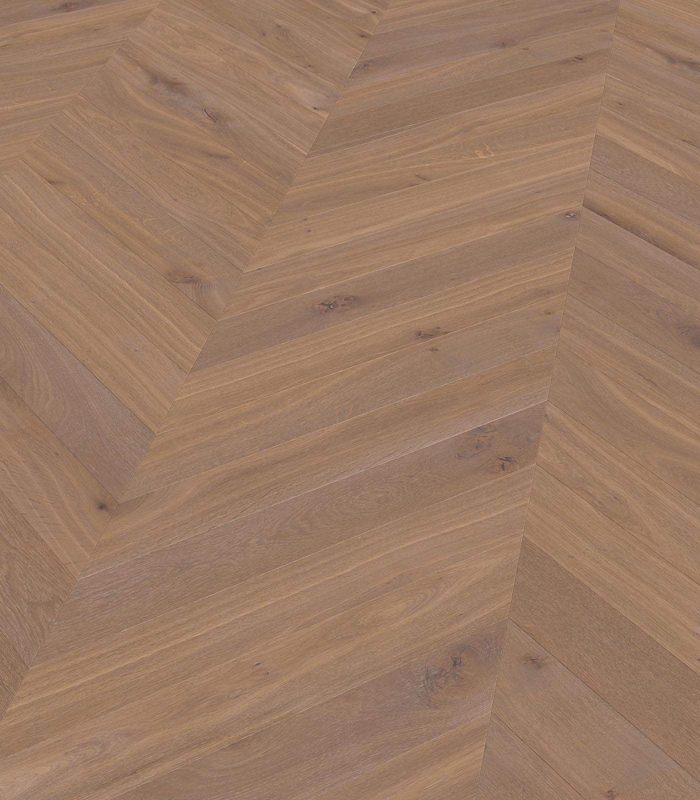 Chevron Biarritz warm grey wide plank hardwood — angle view