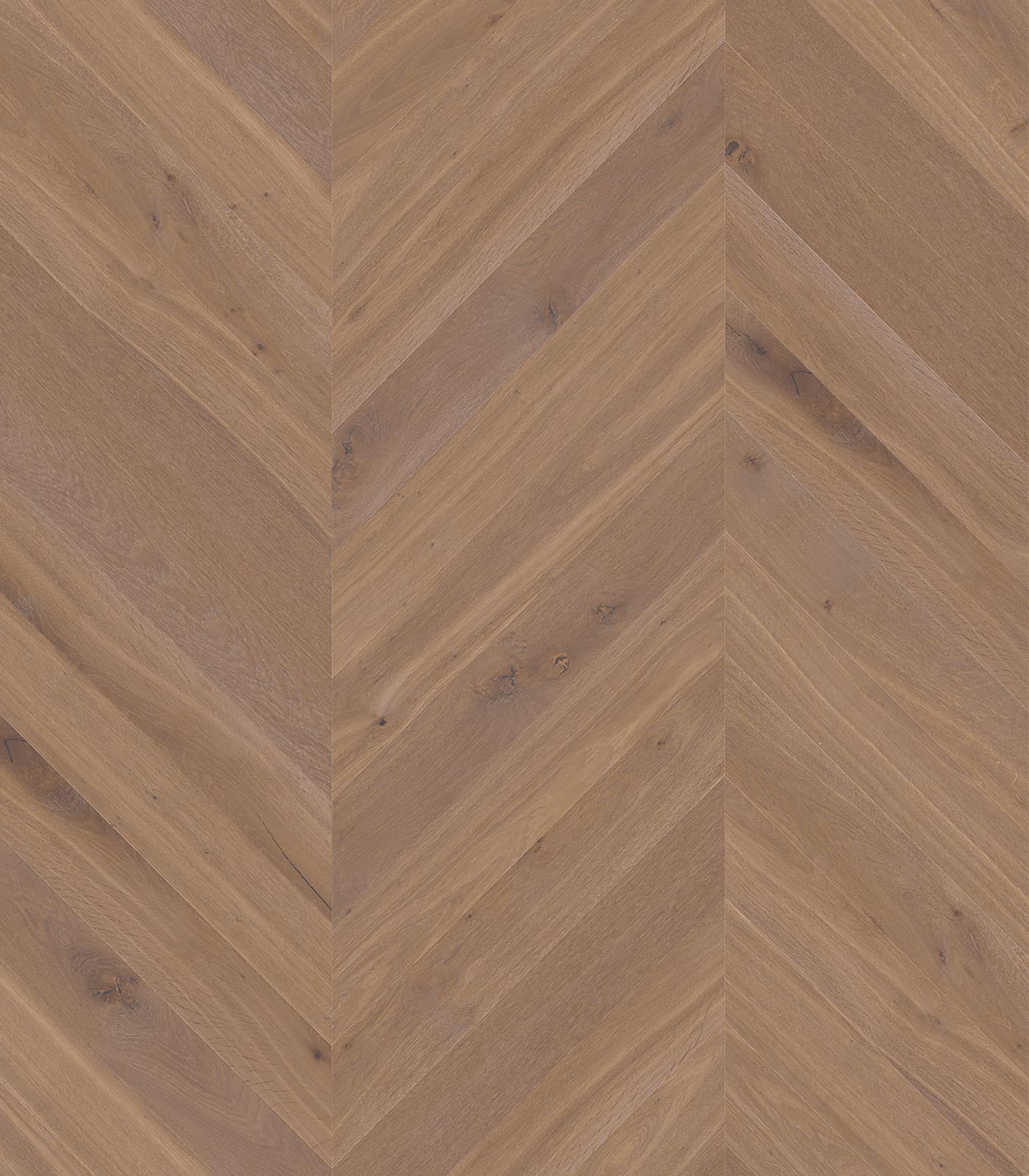 Chevron Biarritz warm grey wide plank hardwood — flat view