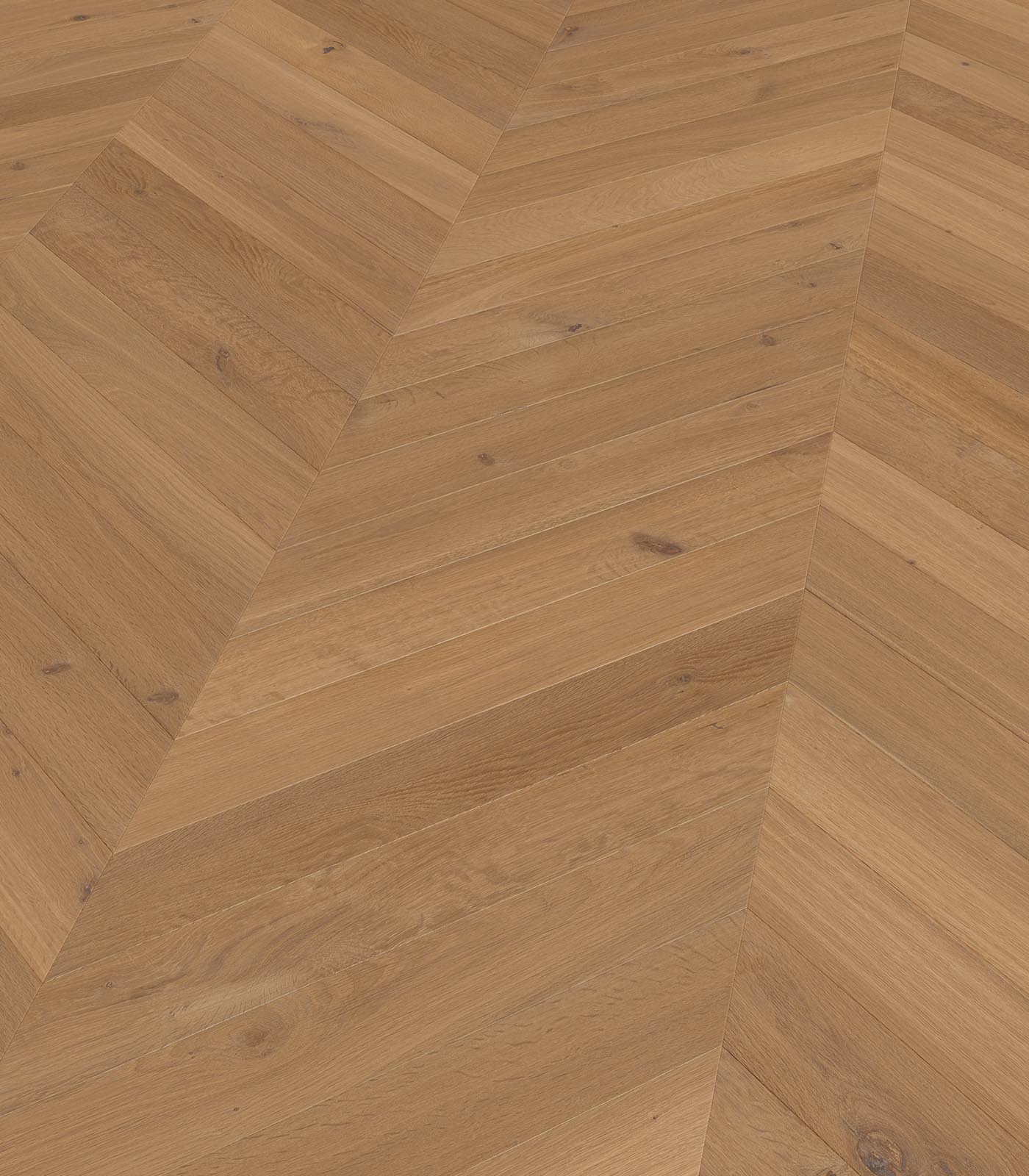 Chevron Majorca light brown wide plank hardwood — angle view