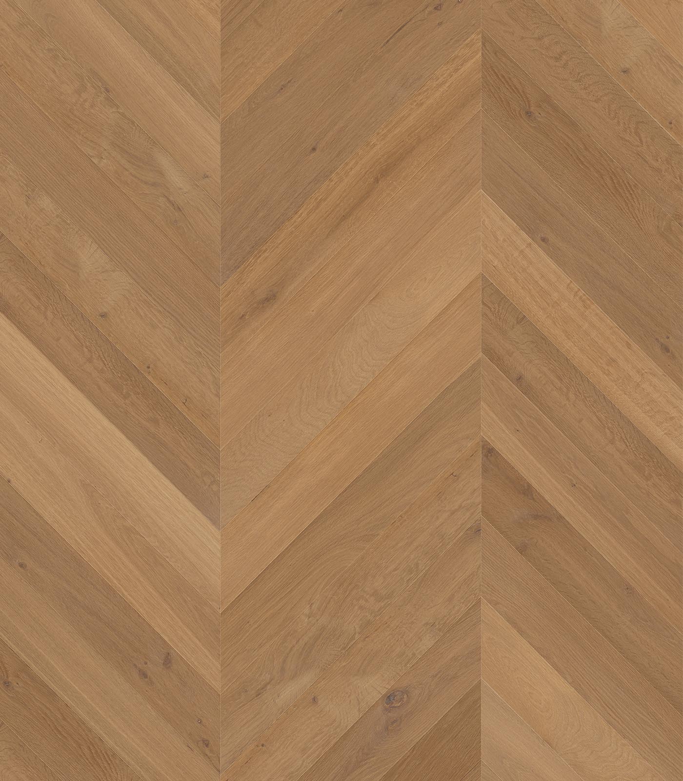 Chevron Majorca light brown wide plank hardwood — flat view
