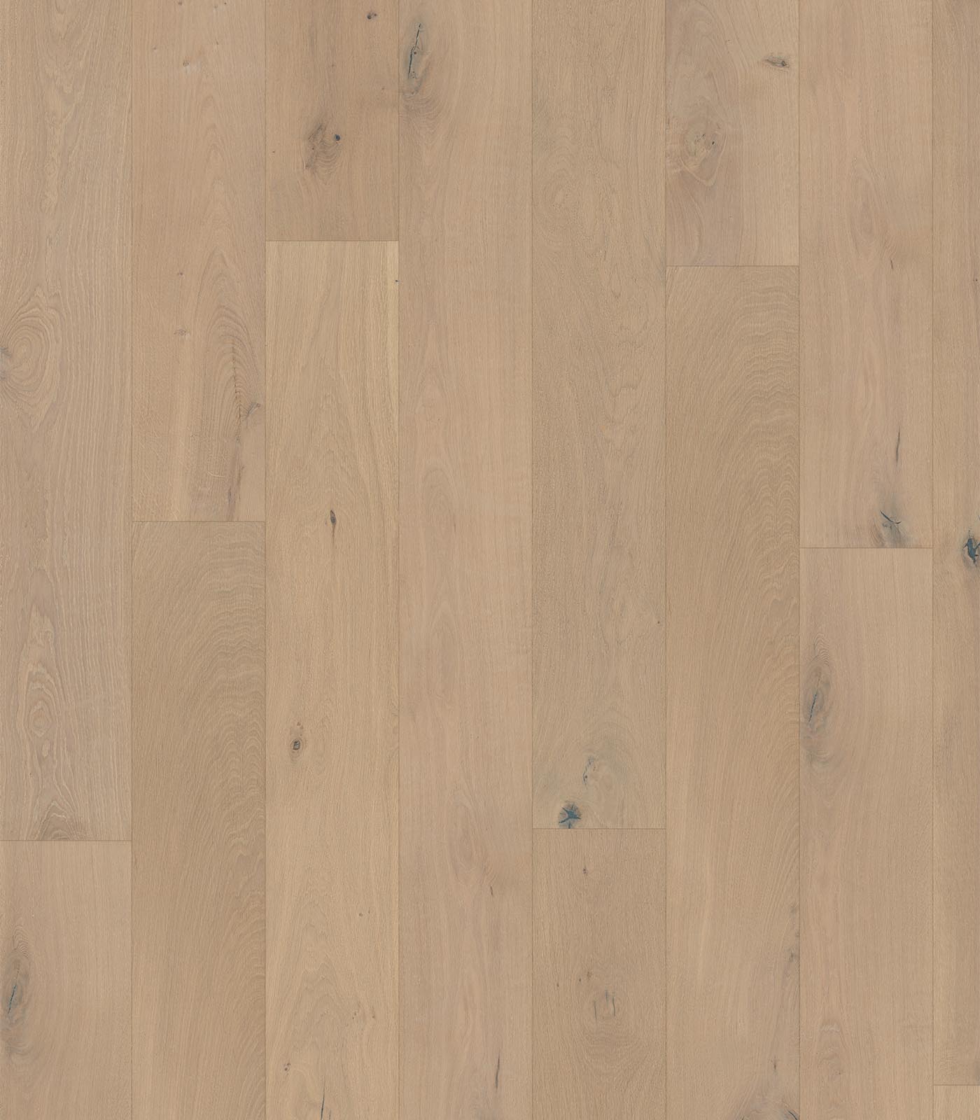 Cayman light brown wide plank hardwood — flat view