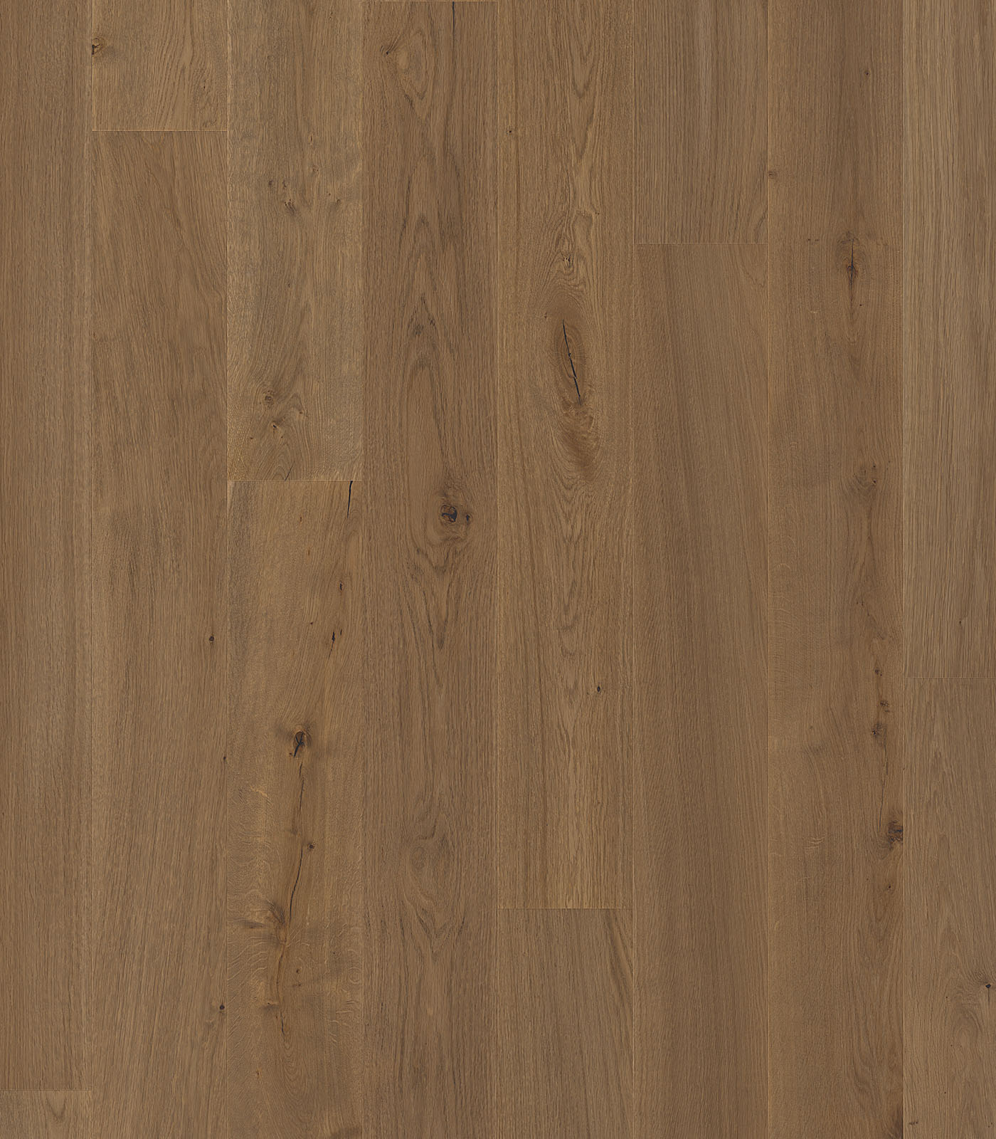 Amboseli medium brown wide plank hardwood — flat view
