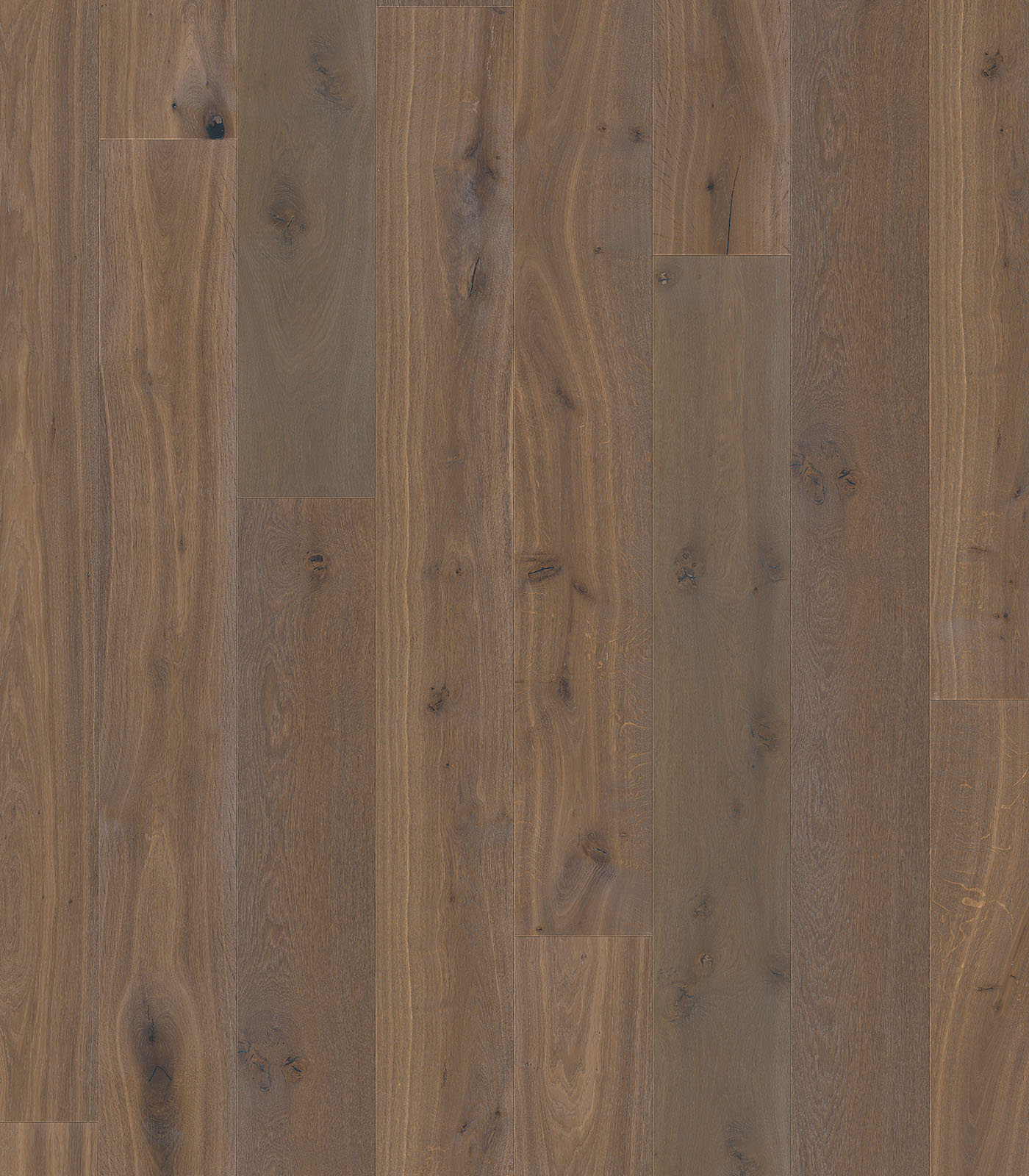 Biarritz warm grey wide plank hardwood — flat view