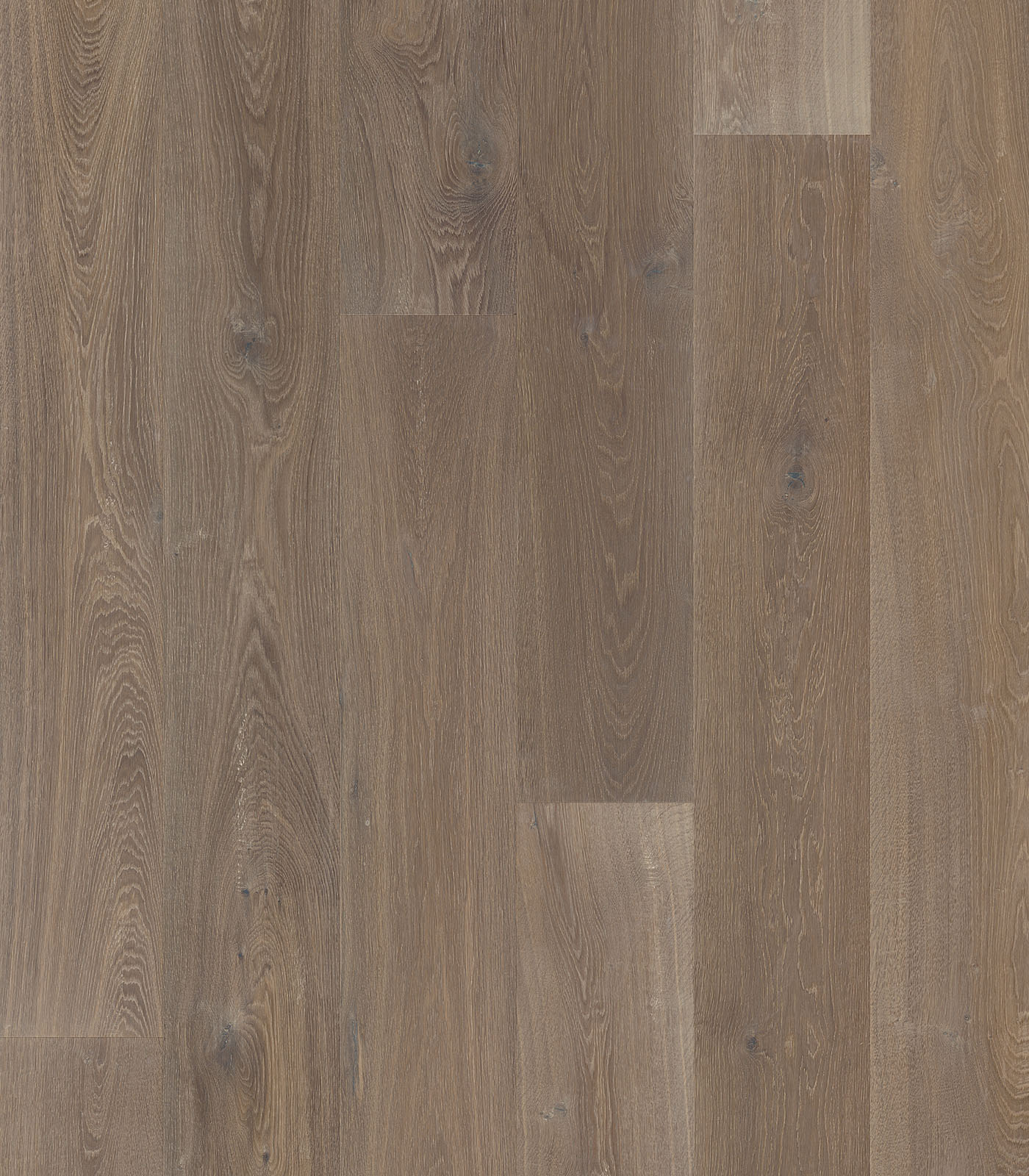 Formentera warm grey wide plank hardwood — flat view