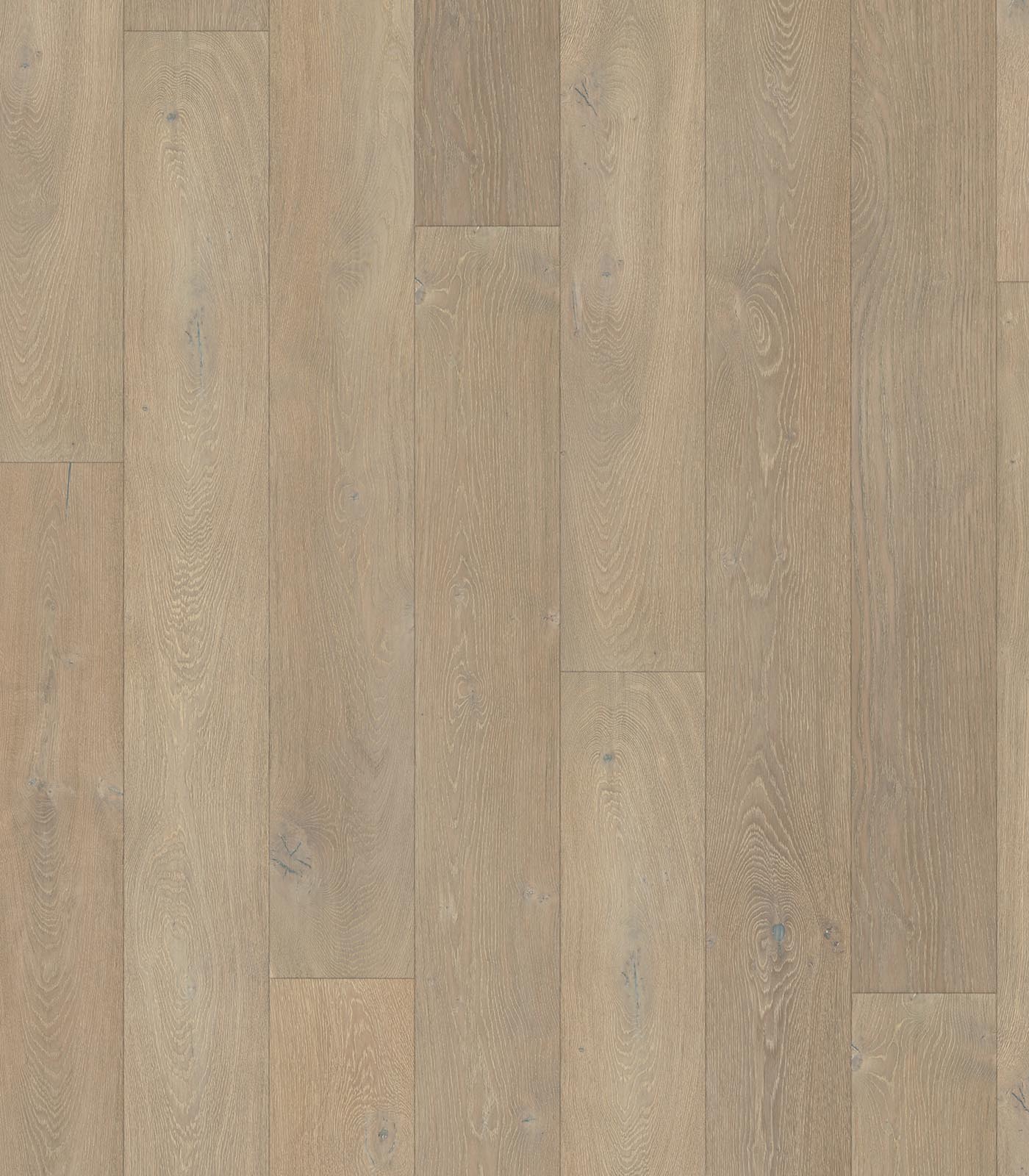 Tahiti cold grey wide plank hardwood — flat view
