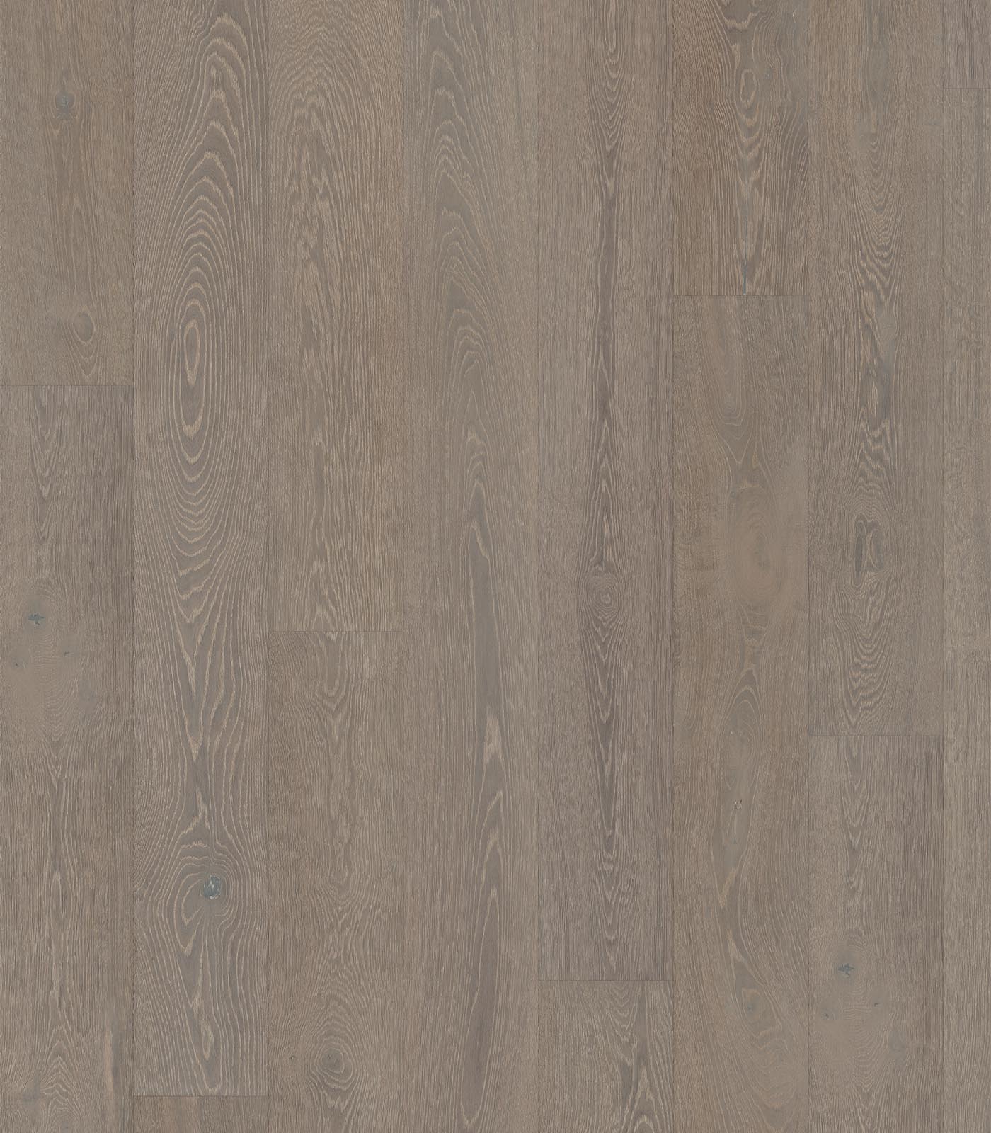 Uluwatu Brushed cold grey wide plank hardwood — flat view