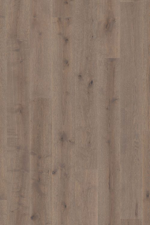 Colors Collection — bold toned European Oak hardwood floors